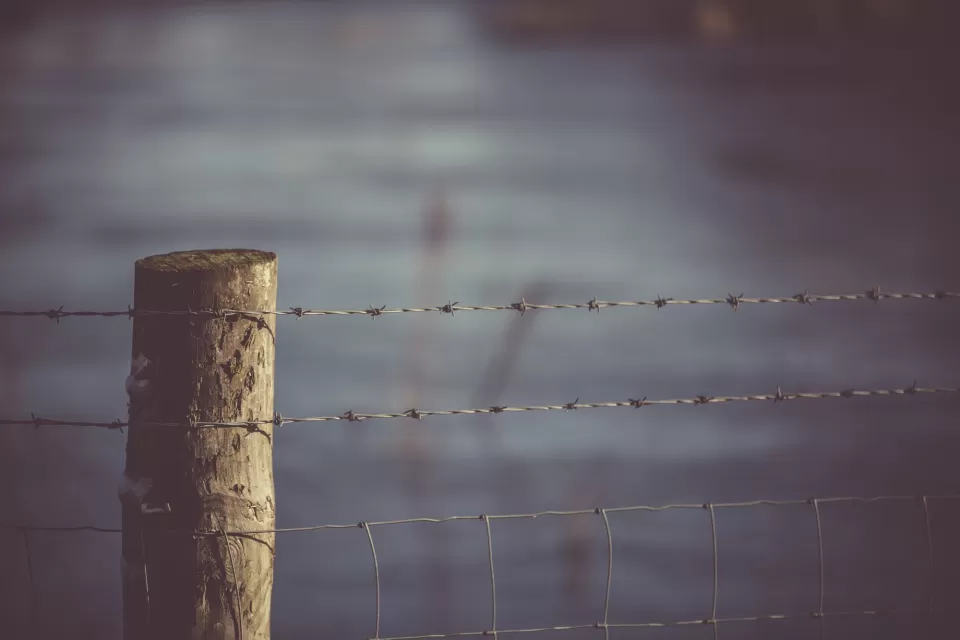 Fence
